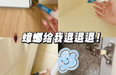 蟑螂药什么牌子好用，绝杀的那种？一文告诉你怎么灭蟑螂